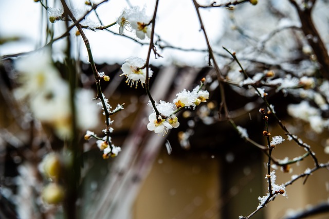 分析