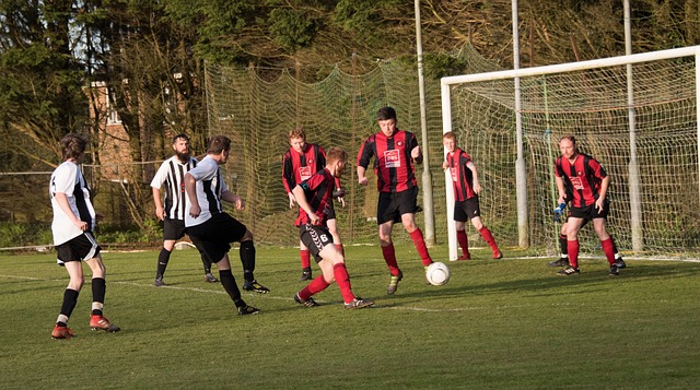 对桑乔的未 对桑乔的未