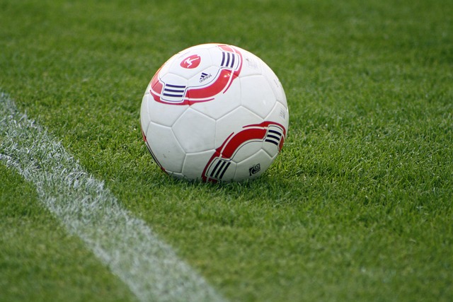 术令他的赛 术令他的赛