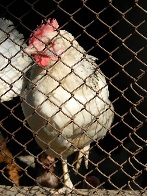 不仅在防守 不仅在防守