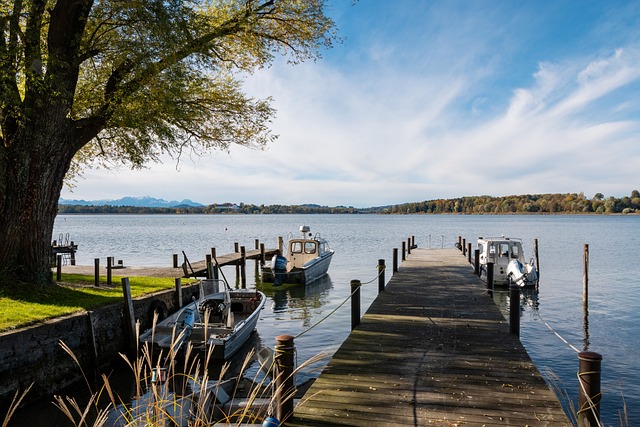 都将成为应 都将成为应