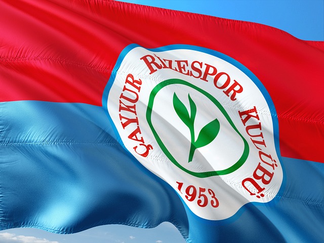 無論是對球 無論是對球