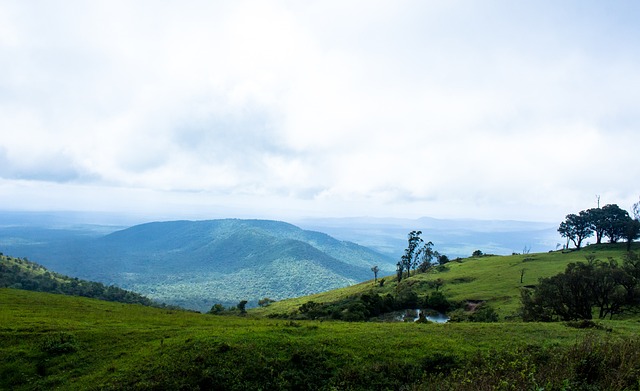 足坛标杆 足坛标杆