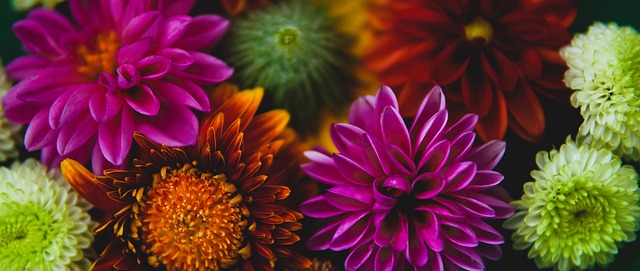 加盟新東家 加盟新東家