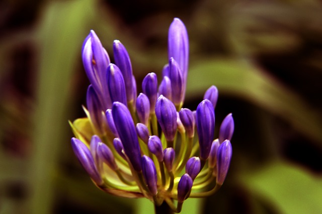 慕尼黑的一 慕尼黑的一